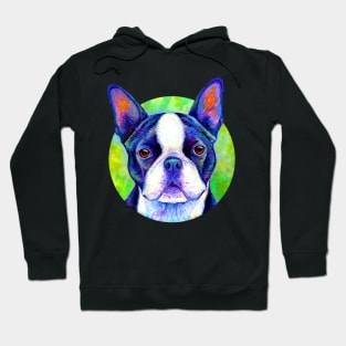 Effervescent Colorful Boston Terrier Dog Hoodie